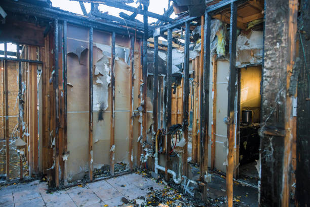 Professional Smoke Damage Removal technician working in Pickens, SC